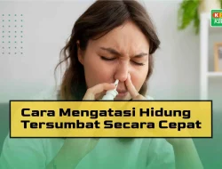 Cara Mencegah Hidung Tersumbat Sejak Dini untuk Kesehatan Pernapasan Optimal