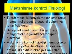 Diskusi Etika Mengenai Penggabungan Tubuh Manusia dengan Komponen Mesin: Menjelajahi Batasan Kemanusiaan di Era Sibernetik