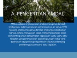 Pentingnya Analisis Dampak Lingkungan (AMDAL) bagi Bisnis: Membangun Keberlanjutan dan Keunggulan Kompetitif di Era Modern