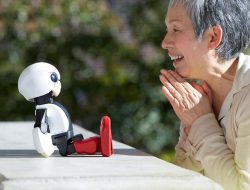 Peran Robot Pendamping dalam Mengatasi Masalah Kesepian pada Lansia