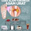 Tips Menjaga Asam Urat Tetap Optimal: Panduan Lengkap untuk Hidup Sehat dan Bebas Nyeri